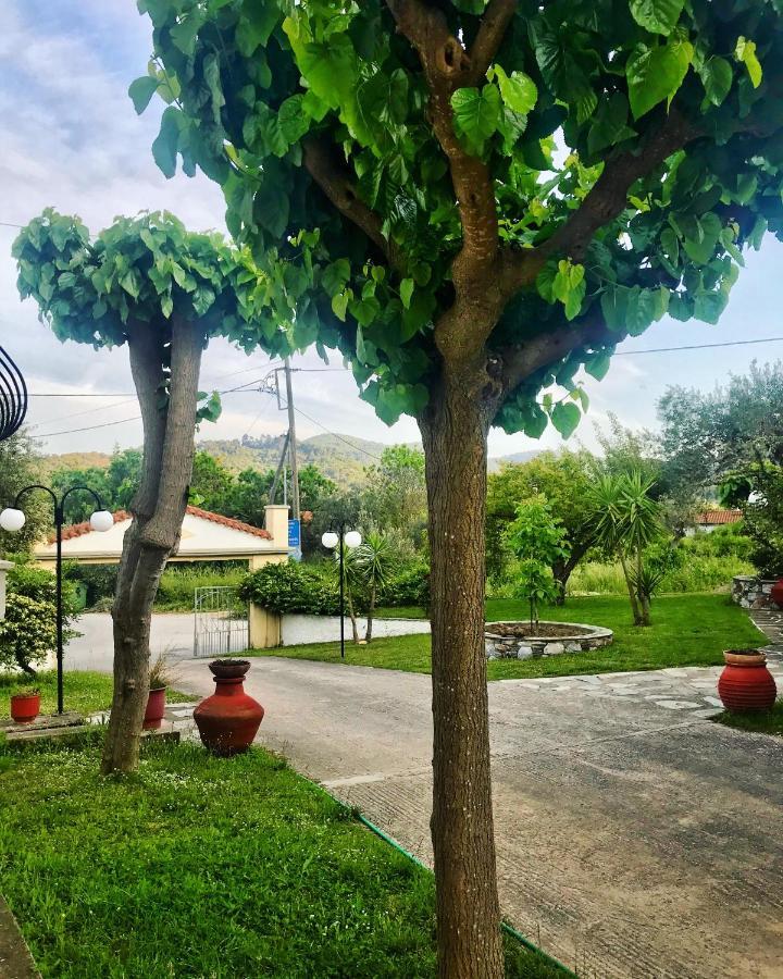Pansion Episkopi Studios Скопелос Екстериор снимка