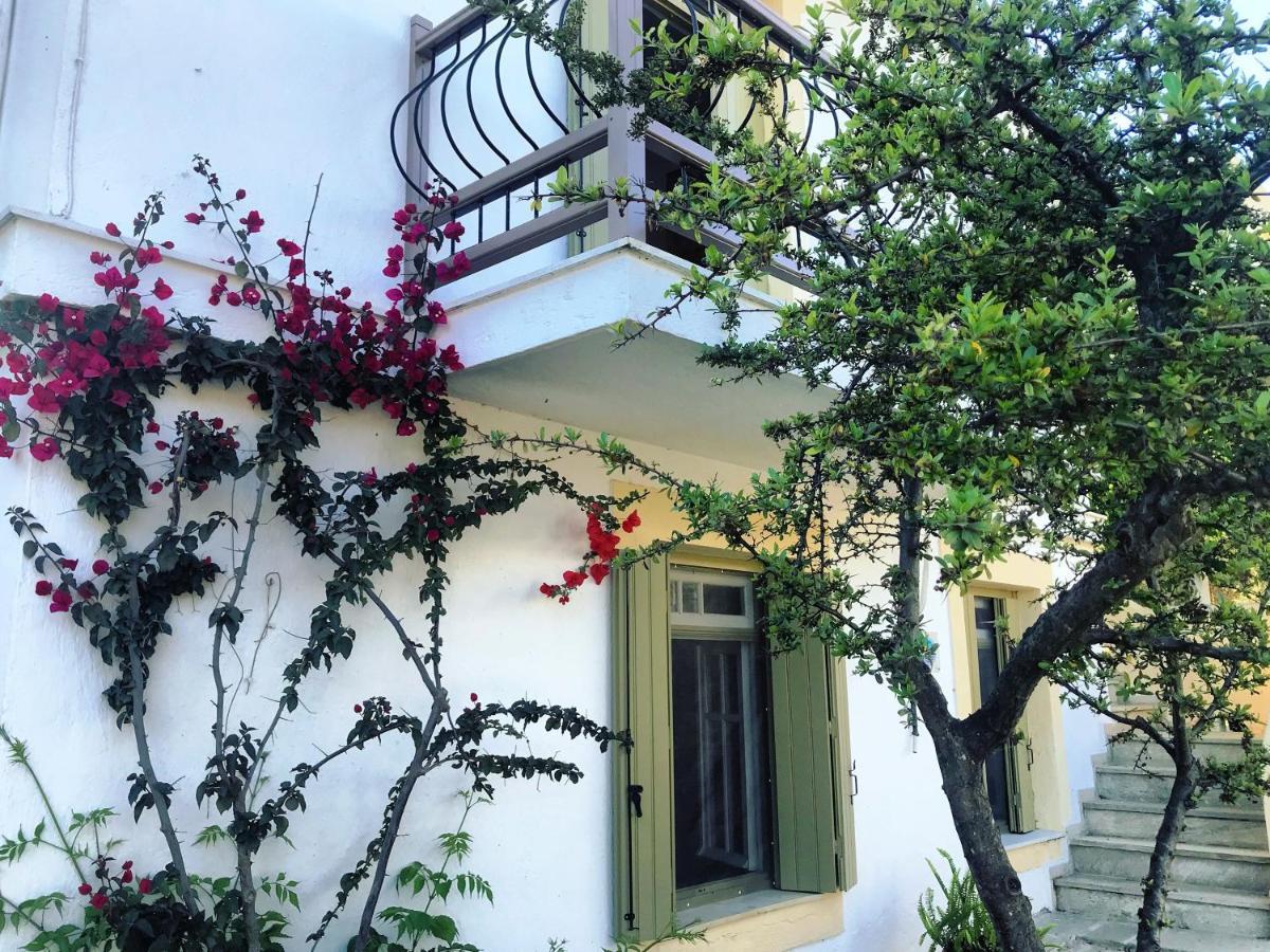 Pansion Episkopi Studios Скопелос Екстериор снимка