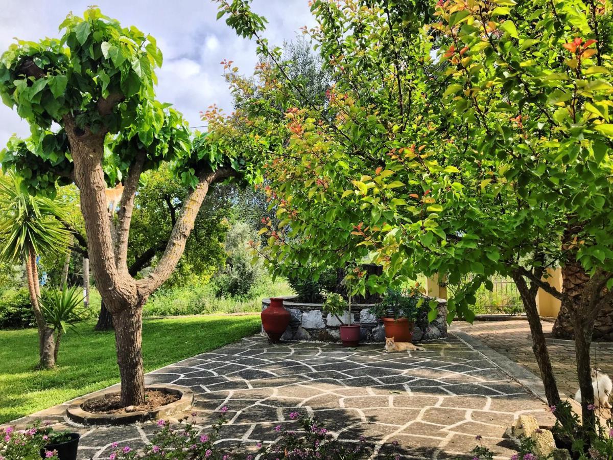 Pansion Episkopi Studios Скопелос Екстериор снимка