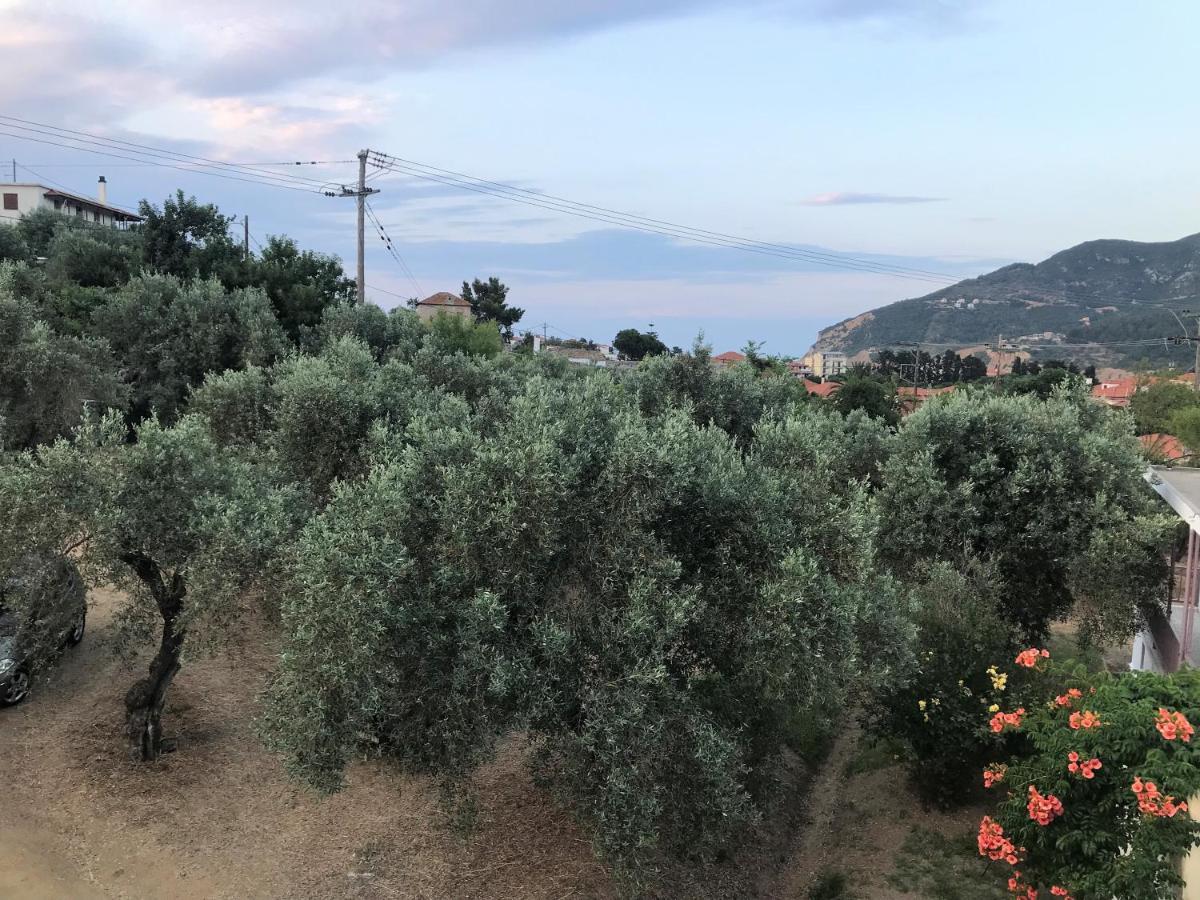 Pansion Episkopi Studios Скопелос Екстериор снимка