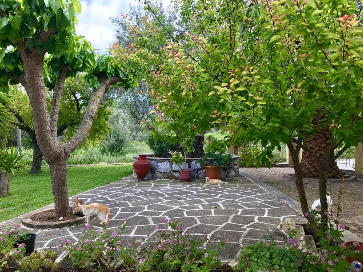 Pansion Episkopi Studios Скопелос Екстериор снимка