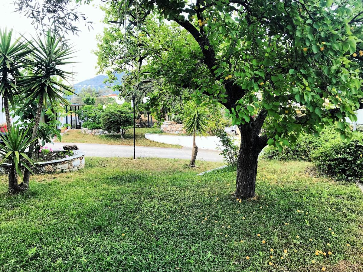 Pansion Episkopi Studios Скопелос Екстериор снимка