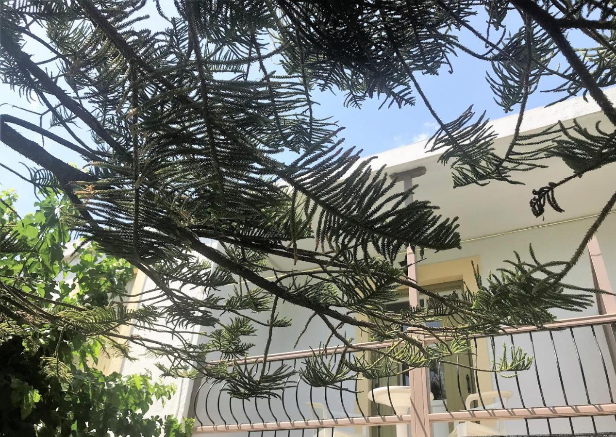 Pansion Episkopi Studios Скопелос Екстериор снимка