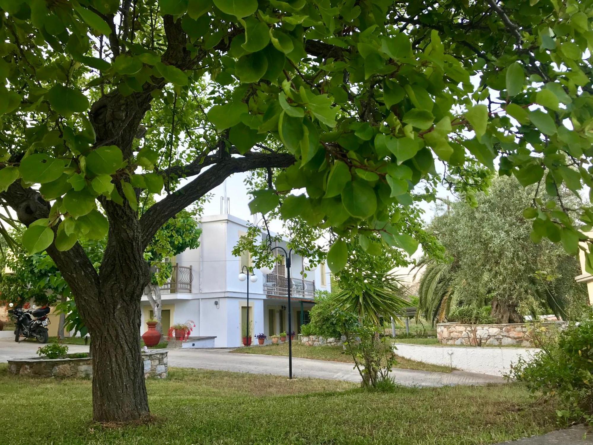 Pansion Episkopi Studios Скопелос Екстериор снимка