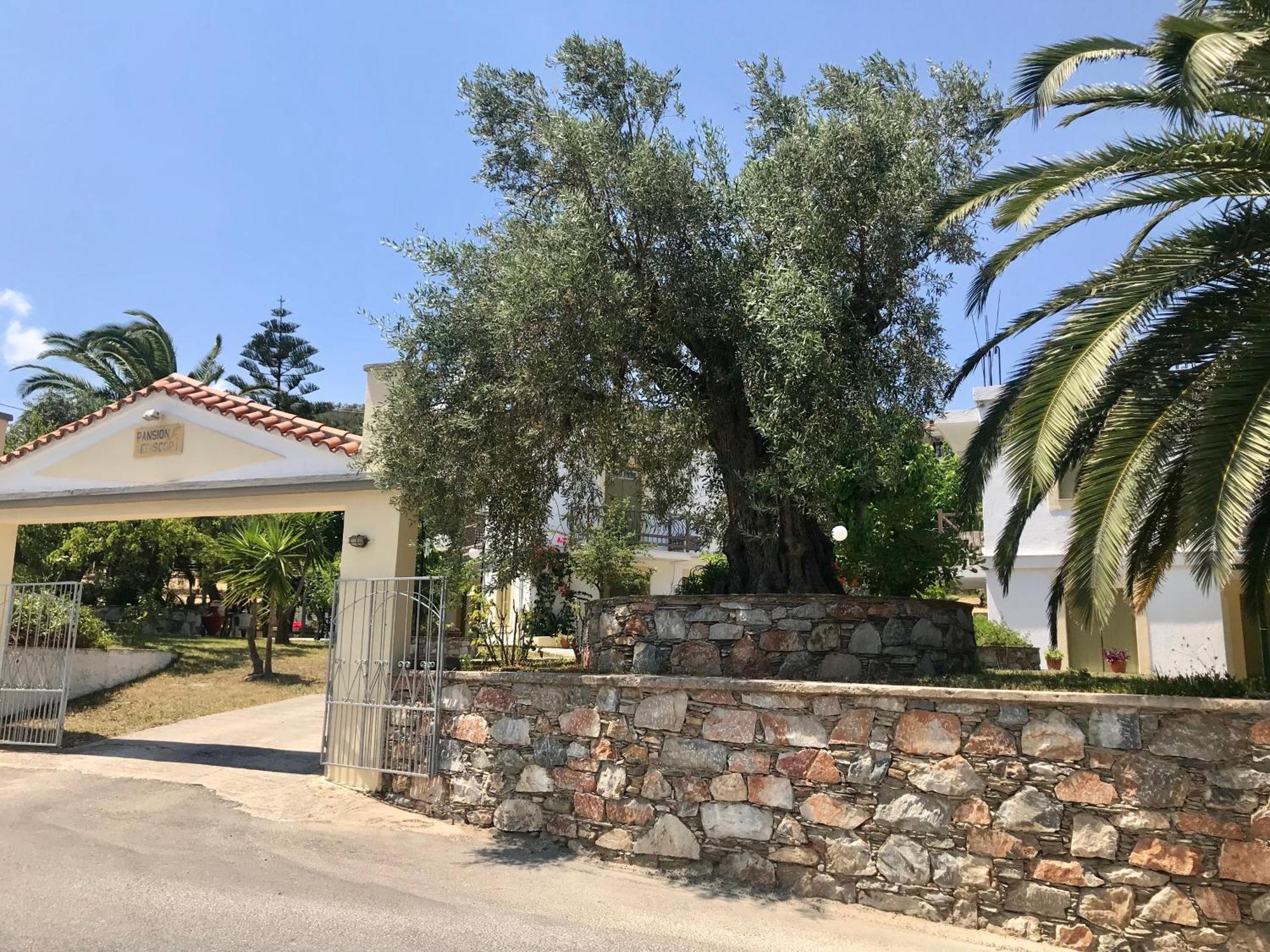 Pansion Episkopi Studios Скопелос Екстериор снимка